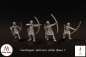 Preview: Carolingian Warriors with Bows 1